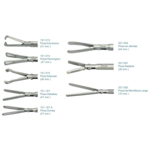 Instrumental 10 MM